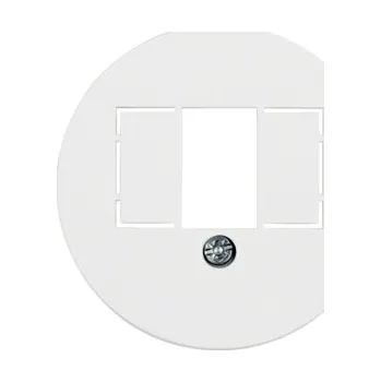 Elektrická zásuvka Berker Centrální díl pro datovou a reproduktorovou zásuvku, serie 1930/Glas Barva: Bílá, Povrch: Lesk