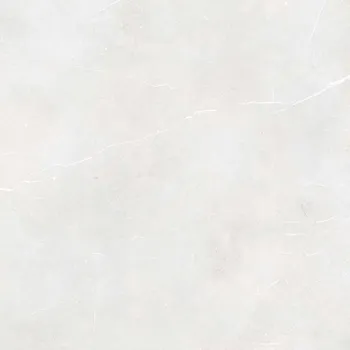 Obklad Fly Mist - dlaždice rektifikovaná 119,8x119,8 světle šedá DAK92882