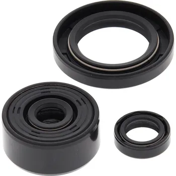 Těsnění motoru Sada gufer motoru WINDEROSA EOSK 822339