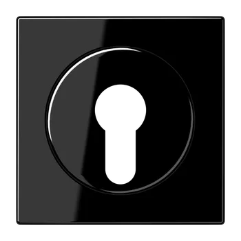 vypínač Centrální díl pro klíčový spínač s ochranou proti demontáži, JUNG LS990 Barva: Černá