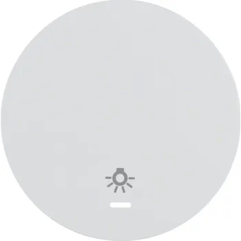 Elektrická zásuvka Berker Kryt jednoduchý IP44 s potiskem symbolu světla, R.1/R.3/R.8 Barva: Bílá, Povrch: Lesk