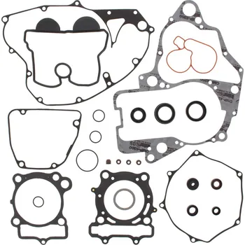 Těsnění motoru Sada těsnění motoru kompletní vč. gufer motoru WINDEROSA CGKOS 811568