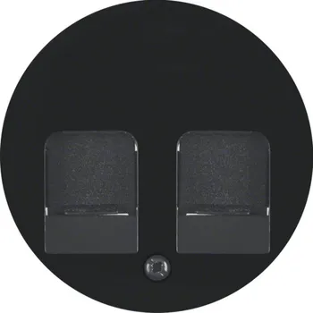 Elektrická zásuvka Centrální díl pro nosnou desku 2-nás., s posuvnými protiprachovými krytkami Berker R.1/R.3/R.8 Barva: Černá, Povrch: Lesk