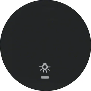 Elektrická zásuvka Berker Kryt jednoduchý IP44 s potiskem symbolu světla, R.1/R.3/R.8 Barva: Černá, Povrch: Lesk