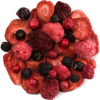 Sušené ovoce Zahradní směs NUTSMAN Množství: 100 g