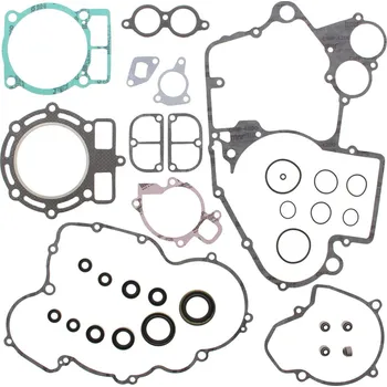 Těsnění motoru Sada těsnění motoru kompletní vč. gufer motoru WINDEROSA CGKOS 811317