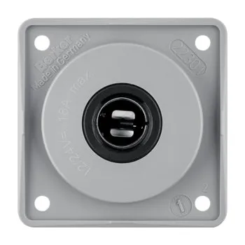 Elektrická zásuvka Berker Integro Zásuvka, 12-24 V, 16 A, násuvné kontakty, Integro přístroje, šedá, lesk