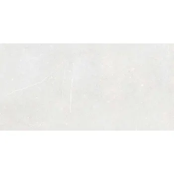 Fly Mist - dlaždice rektifikovaná 29,8x59,8 světle šedá DAKSR882