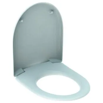 WC sedátko Geberit Keramag Renova Nr.1 WC sedátko, s automatickým spuštěním, upevnění shora Pergamon