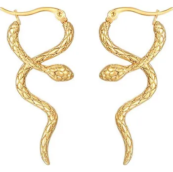 Náušnice Steel Edge Hadí náušnice z chirurgické oceli WJHE839GD