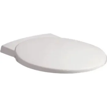 WC sedátko Geberit Keramag Joly WC sedátko s automatickým spuštěním, panty nerez ocel, bílá