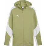Pánská bunda Puma TEAMEVOSTRIPE HOODED JACKET L Zelená, Bílá