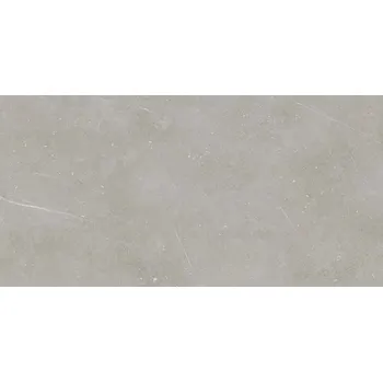 Obklad Fly Steam - dlaždice rektifikovaná 59,8x119,8 šedá DAKV9883