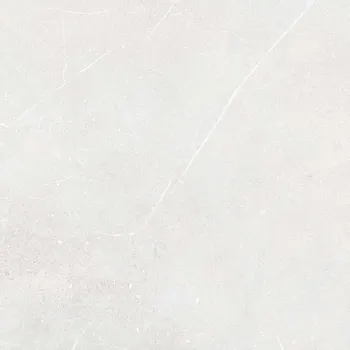 Obklad Fly Mist - dlaždice rektifikovaná 59,8x59,8 světle šedá DAK62882