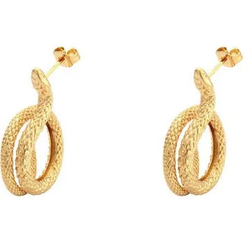 Náušnice Steel Edge Hadí náušnice z chirurgické oceli WJHE1020GD