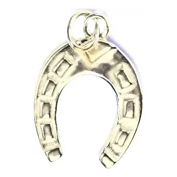 Přívěsek Zlatý přívěsek podkova - P20 - žluté zlato (Přívěsek velká podkova ve žlutém zlatě)