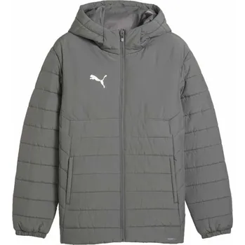 Pánská bunda Puma TEAMADDITIONS HOODED PADDED JACKET S Šedá, Bílá