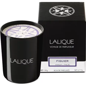 Svíčka Lalique Vonná svíčka Amalfi, fík – Itálie, 190 g B40181