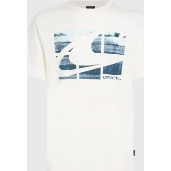 Pánské Tričko s krátkým rukávem O'NEILL O'NEILL GRADIENT T-SHIRT 2850288-11015 – Bílá L