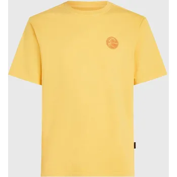 Pánské tričko Pánské Tričko s krátkým rukávem O'NEILL O'RIGINALS VINTAGE GRAPHIC T-SHIRT 2850290-12022 – Žlutá S