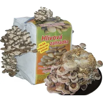 Substrát Jedlé houby Václavík Komplet substr.HLÍVA 15 l+ŠII TAKEE cca 3 litry