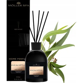 Osvěžovač vzduchu VŮNĚ EUKALYPTU DO DOMU TYČINKY OSVĚŽOVAČ - 250ml VELKÝ OBJEM