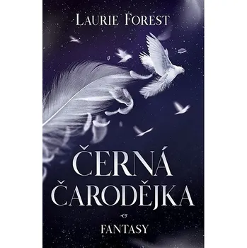 Kniha Černá čarodějka Ekniha