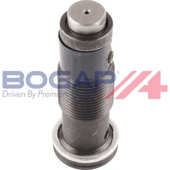 Napínák, rozvodový řetěz BOGAP C1312108