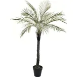 Umělá květina Palma v květináči 180 cm YD355