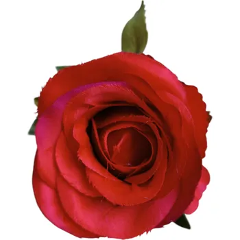 umělá květina Umělá květina Růže 70 cm, více barev Barva: Červená ART004