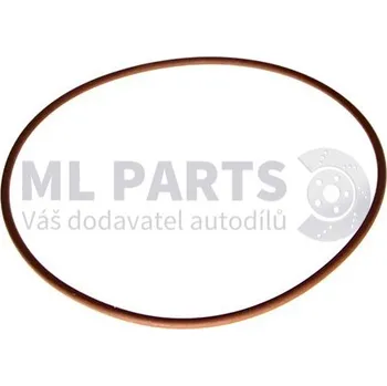 Těsnění motoru Těsnicí kroužek, vodní čerpadlo AJUSA 17285681