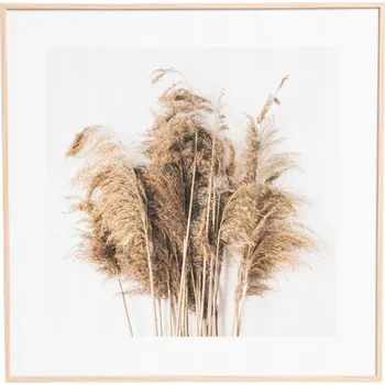 Obraz Obraz v rámu ZEFIR rákos 30x30 cm HOMLA