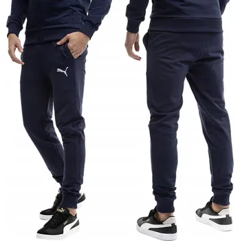 Puma pánské tepláky 658598 06 modré, velikost L