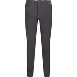 Regatta Kennick Pánské outdoorové kalhoty RMJ275R Popel 32
