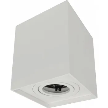 Stropní svítidlo přisazené Ecolight 35 W GU10 12,5 cm bílé