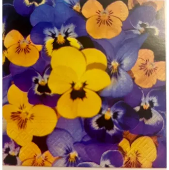 Papírový ubrousek Ubrousek DEKORAČNÍ čtverec papírový 33cmx33cm TETEaTETE