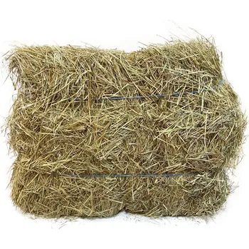 Krmivo pro koně Plavnická Hranatý balík BIO sena 10 kg