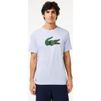 Pánské tričko Tričko Lacoste Multi colour 1105588 M