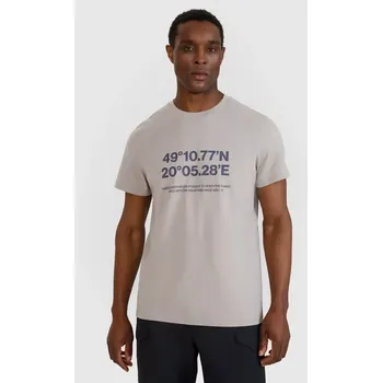 Pánské tričko 4F pánské tričko 4FWSS25TTSHM2209 světle šedé