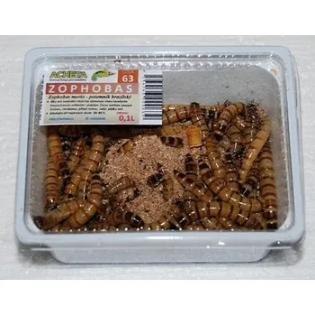 Likér Potemník brazilský Zophobas 0,1L