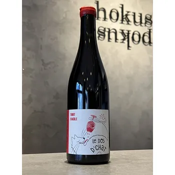 Víno Fabrice Dodane | Domaine de Saint Pierre - Tout Facile 2023 MAGNUM 1,5 l - naturální víno