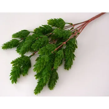 umělá květina Umělé květiny - Šišky chmelu ZELENÉ