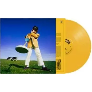 Zahraniční hudba LP Declan McKenna: What Happened To The Beach? CLR | LTD 2024 Yellow Coloured Vinyl Limited Edition