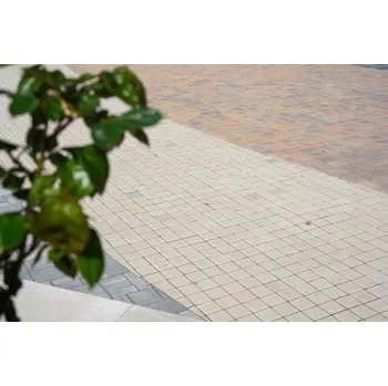 Venkovní dlažba Dlažba zámková CS-BETON Kostka šedá – 100×100×60 mm