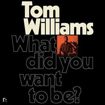 Zahraniční hudba LP Tom Williams: What Did You Want To Be? 2019
