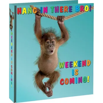 Pořadač Alvarak 2-kroužkový A4/3,2cm, LAF3 - Hang in there!