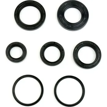 Automobilové těsnění Sada gufer motoru ATHENA P400010400022