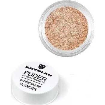 Kosmetická sada Hnědící pudr Kryolan SATIN POWDER SP 251