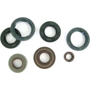 Automobilové těsnění ATHENA sada gufer motoru HONDA CB 250 94-07 (ATHENA sada gufer motoru HONDA CB 250 94-07)