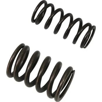 Rozvod motoru PSYCHIC pružina sacího ventilu HONDA CRF 450X 05-16 (MX-09503IS) (PSYCHIC pružina sacího ventilu HONDA CRF 450X 05-16 (MX-09503IS))